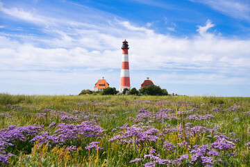 Malerischer Leuchtturm Westerhever im lila Blütenmeer des Strandflieders unter blauem Himmel