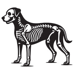 The calm within structure – Dog skeleton silhouette portrayed using flowing Dog skeleton vector – Dog skeleton illustration

