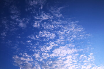 澄んだ青空と白い雲