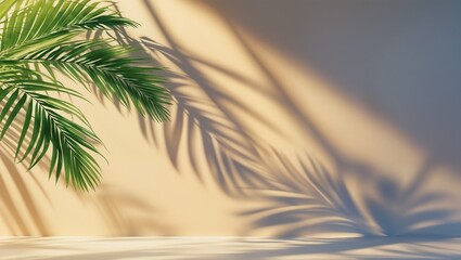 Obraz premium Palm shadow background summer tropical leaf nature light wall design mockup template 90