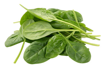 Fototapeta premium spinach-- isolated on white background png, ai generated
