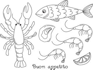Set of mediterranean sea food doodle drawing. Linear illustration with shrimps, oyster, lobster, fish and lemon