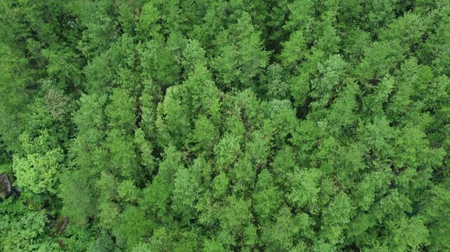 Drone video of Meghalaya's natural beauty.