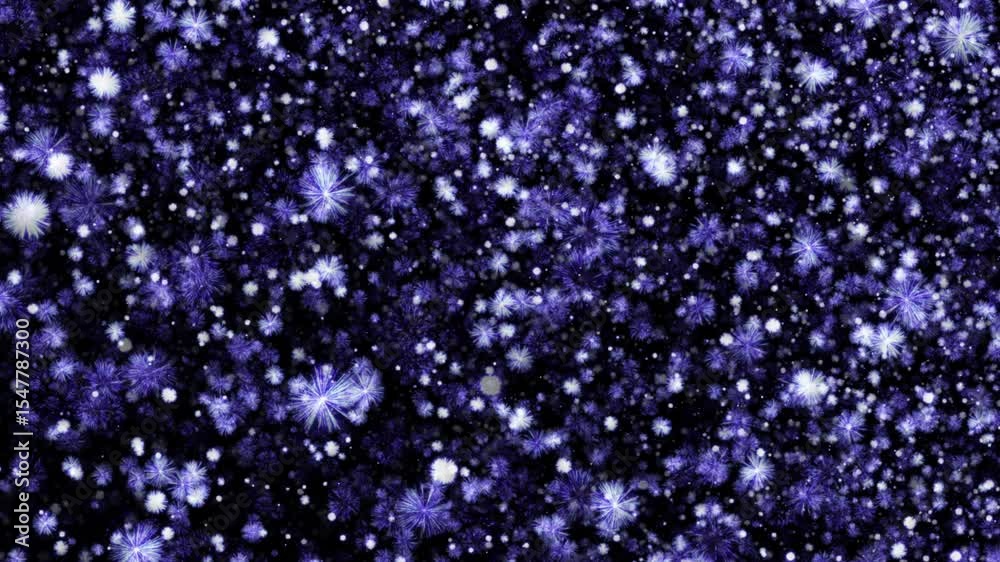 Canvas Prints abstract seamless loop floating many blue spark fireworks particles animation effect on black abstra