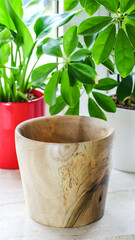 Handcrafted Wooden Flower Pot with Natural Texture for Eco-Friendly Home Decor