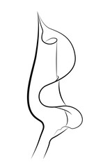 Beautiful flower curvy feathers line drawing isolated on white background - vector illustration