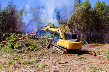Excavator is removing trees debris from forest as smoke rises in air under works day at...