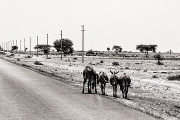 On the road