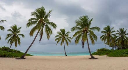 Fototapeta premium Serene Tropical Beach Scene with Palm Trees under Cloudy Sky