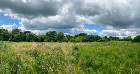 Panoramic view of a summer meadow with tall grass and dense green trees under a dramatic sky. Perfect for backgrounds, banners, and nature-themed design.