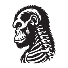 Evolution visualized – Gorilla skeleton silhouette in detailed Gorilla skeleton vector – Gorilla skeleton illustration

