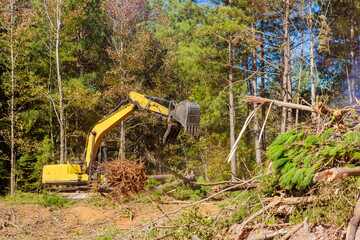Excavator efficiently clears debris in wooded forest area to prepare for future construction.