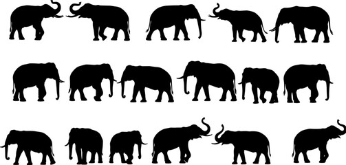 Elephant silhouette vector collection, wildlife animals in black, various elephant poses, walking and standing elephants, isolated on white background, perfect for zoo, safari, or nature themes