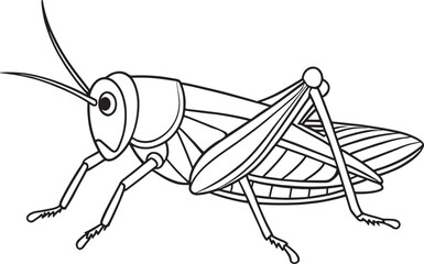 Grasshopper bug line drawing for coloring and outdoor learning fun