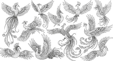 Hand drawn phoenix bird collection, decorative mythical birds, intricate line art, fantasy animal illustration, flying legendary creature, black and white artwork, tattoo design inspiration, 