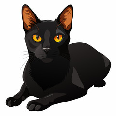 Stylized Bombay Cat Vector Illustration &ndash; Sleek Body and Bold Look