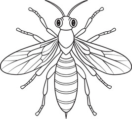 Sawfly wings insect line drawing for science and bug coloring