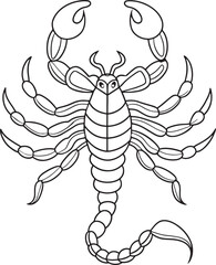 Scorpion line art drawing for coloring and educational materials