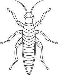 Stonefly detailed line drawing for coloring and science education