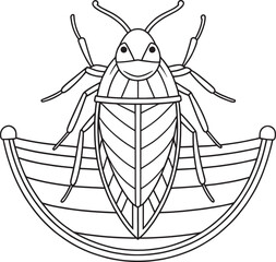 Water boatman bug line drawing for aquatic insect coloring education