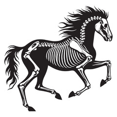 Fototapeta premium Timeless anatomy of the horse – Horse skeleton silhouette expressed in linear Horse skeleton vector – Horse skeleton illustration