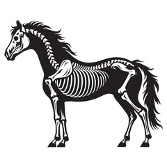 Graceful structure preserved – Horse skeleton silhouette shaped into high-detail Horse skeleton vector – Horse skeleton illustration

