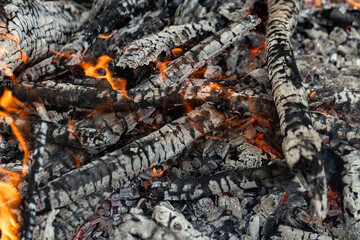 Burning Wood, Campfire, Vibrant Flames,