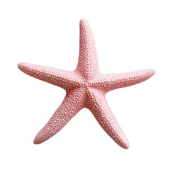 Pink starfish on black background for marine life design