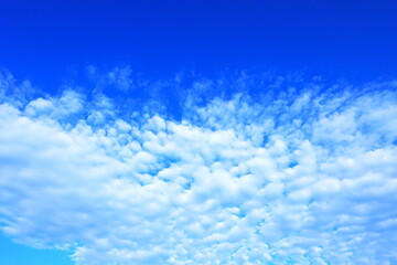 青空と白い雲
