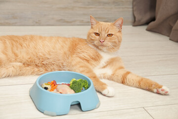 Cat with bowl full of raw natural products indoors. Pet's balanced diet