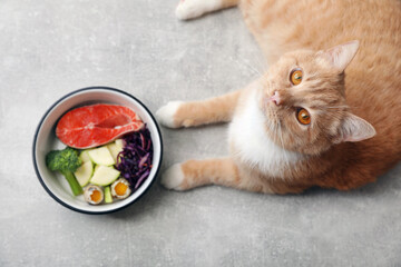 Cat with bowl full of raw natural products on light floor, top view. Pet's balanced diet