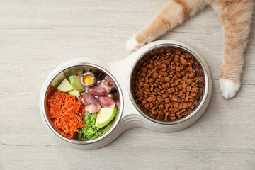 Cat with dry pet food and natural products on white wooden floor, top view