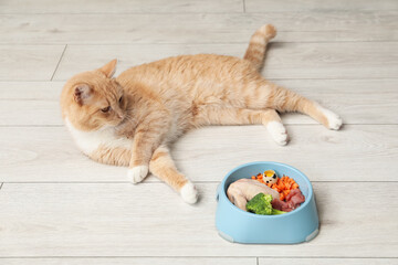 Cat with bowl full of raw natural products indoors. Pet's balanced diet