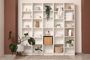 Big shelf unit with bath accessories and plants in room