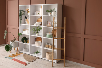 Shelf unit with kitchen utensils, plants and ladder near brown wall in room