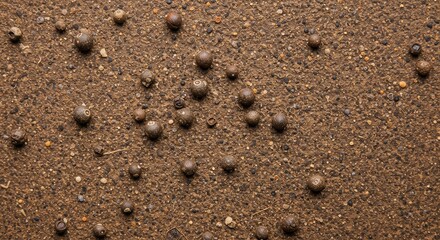 High-angle close-up of peppercorns scattered on textured brown earth