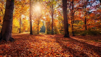 Obraz premium colorful autumn leaves falling from trees in a tranquil forest setting during daylight hours