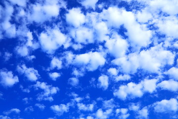 青空とふわふわした白い雲