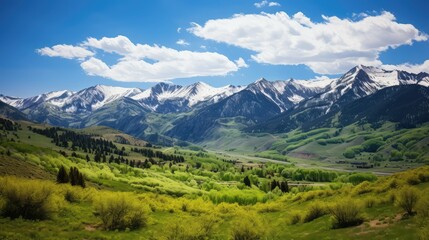 Fototapeta premium photography blue skys