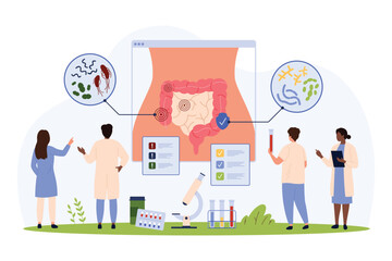 Bad and good bacteria in human intestines, infographics vector illustration. Cartoon tiny people check gastrointestinal system on anatomy chart, digestive tract with lactobacillus and campylobacter