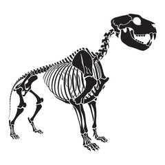 Fossilized strength and grace – Lion skeleton silhouette crafted into fine Lion skeleton vector – Lion skeleton illustration

