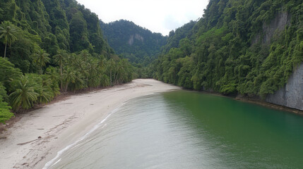 Tropical island beach coconut tree green water sand forest peaceful nature