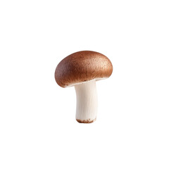 Fresh brown mushroom with smooth cap and white stem for culinary and health concepts on transparent background