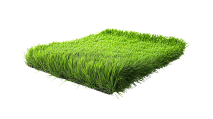 Artificial grass rug isolated on white background