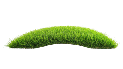 Synthetic grass carpet isolated on white background
