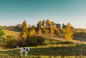 Wzgórza Dylewskie © Monika