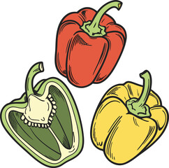Illustrated Red, Green, and Yellow Bell Peppers with Detailed Textures on White Background