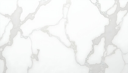 Obraz premium White Stone Texture with Veins Abstract Background