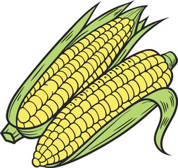 Illustrated Fresh Corn on the Cob with Husk in Detailed Artistic Style on White Background