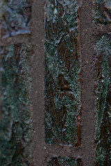 Closeup of a textured stone wall with green moss and detailed surface patterns.